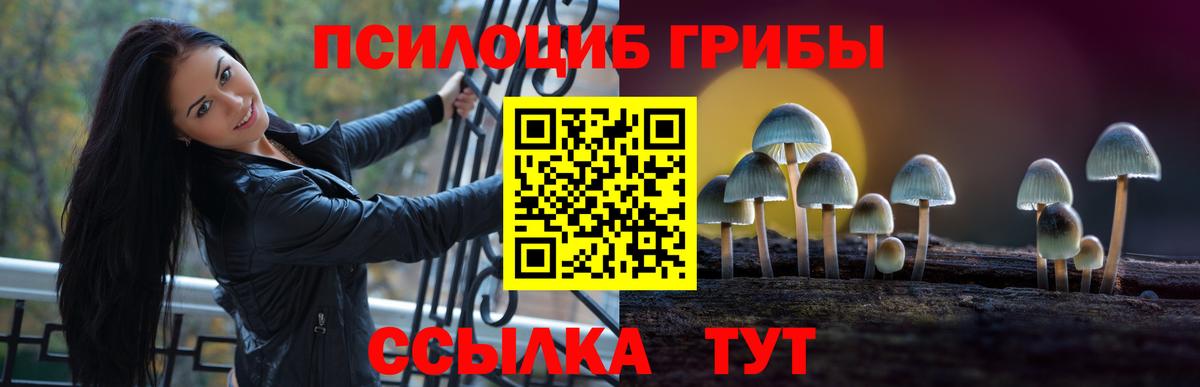 Псилоцибиновые грибы Psilocybe Дедовск